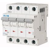 Miniature circuit breaker (MCB), 32 A, 4p, characteristic: D