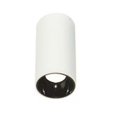 Ceiling Luminaire Round Glam