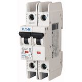 Miniature circuit breaker (MCB), 35 A, 2p, characteristic: B