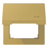 Hinged lid for socket ME2990KLSOCC