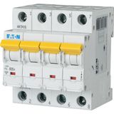 PXL-C25/4 Eaton Moeller series xPole - PXL MCB