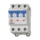 Miniature Circuit Breaker (MCB) B, 10A, 3-pole, 6kA