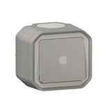 Plexo waterproof illuminated time delay switch supplied complete with indicator light for gray surface mounting