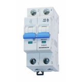 Miniature Circuit Breaker (MCB) B, 6A, 2,-pole, 4.5 kA