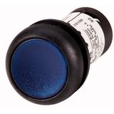Illuminated pushbutton actuator, Flat, momentary, 1 N/O, Screw connection, LED Blue, Blue, Blank, 120 V AC, Bezel: black