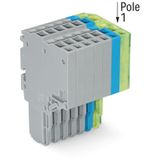 2-conductor female connector Push-in CAGE CLAMP® 1.5 mm² gray/blue/gre
