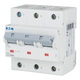 Miniature circuit breaker (MCB), 80A, 3p, D-Char, AC