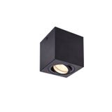 TRILEDO CL, indoor surface-mounted ceiling light, round, QPAR51, black, max 10W