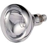 Bulb refl. E27 250W R125 CLEAR