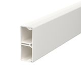 WDK-N20050RW Wall trunking system with nail strip/base perfor. 20x50x2000