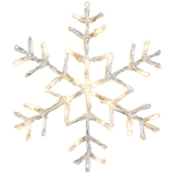Snowflake Antarctica