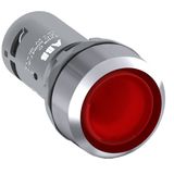 CP1-33R-10 Pushbutton