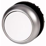 Illuminated pushbutton actuator, RMQ-Titan, Flush, maintained, White, Blank, Bezel: titanium