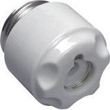 Screw caps DIII E33 ceramics with indicator hole