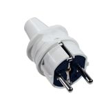 Accessories White Male Plug - Earthed