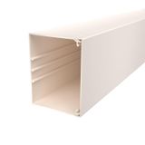 WDK100130CW Wall trunking system with base perforation 100x130x2000