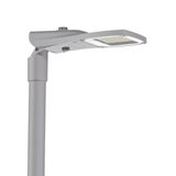 Streetlight SL 31 minimastarmatuur,LED, 11.200lm730,driver Smart Inter