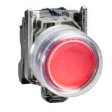 ATEX ILLUMINATED PUSHBUTTON