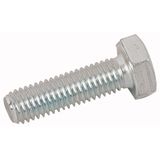 Hexagon-head screw, M10x 80, 8.8