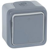 Double pole switch Plexo - IP 55-IK 07 - 10 AX-250 V~ - surface mounting - grey