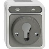 Roller shutter push-button switch for locking cylinder, light gray, AQUASTAR