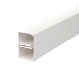 WDK-N25040RW Wall trunking system with nail strip/base perfor. 25x40x2000