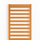 Terminal marking, Pitch in mm: 6.00, Printed characters: neutral, hori