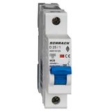 Miniature Circuit Breaker (MCB) AMPARO 10kA, D 25A, 1-pole