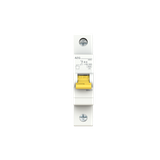 DG61+ B06 Miniature Circuit Breaker