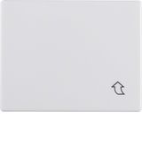 Interm. ring hinged cover f. central plate 50x50 mm, arsys, p.white gl