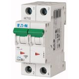 Miniature circuit breaker (MCB), 6 A, 2p, characteristic: B