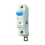 Miniature Ciruit Breaker (MCB) C, 6A, 1-pole,swiss standard