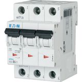 Miniature circuit breaker (MCB), 50 A, 3p, characteristic: D, 6 kA