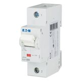 Miniature circuit breaker (MCB), 50A, 1p, B-Char, AC