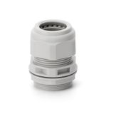 CABLE GLAND M50X1,5 LIGHT