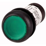 Illuminated pushbutton actuator, Flat, maintained, 1 N/O, Screw connection, LED green, green, Blank, 230 V AC, Bezel: black