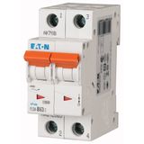 Miniature circuit breaker (MCB), 63 A, 2p, characteristic: B