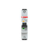 S301P-D1 Miniature Circuit Breaker - 1P - D - 1 A
