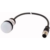 Indicator light, Flat, Cable (black) with M12A plug, 4 pole, 0.5 m, Lens white, LED white, 24 V AC/DC