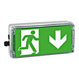 Explosion proof emerg.luminaire EXIT zone1/21 LED 230V AC/DC