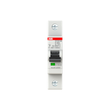 ST201M-K60 Miniature Circuit Breaker - 1P - K - 60 A