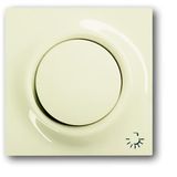 1789 LI-72 CoverPlates (partly incl. Insert) carat® ivory