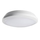 DABA PRO 25W NW-W Ceiling-mounted LED light fitting