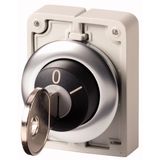 Key-operated actuator, Flat Front, maintained, 2 positions, Key withdrawable: 0, I, Bezel: stainless steel