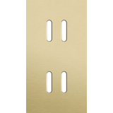 Twofold faceplate, vertical 71 mm centre distance, for double switch f