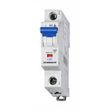 Miniature Circuit Breaker (MCB) C, 25A, 1-pole, 10kA