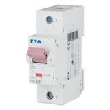 Miniature circuit breaker (MCB), 32A, 1p, D-Char, AC