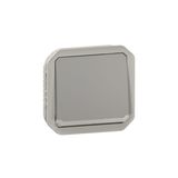 Plexo 10A waterproof switch or two-way indicator to be fitted with a gray finish box or support plate