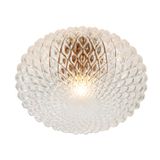 Ceiling Lamp Transparent Ester