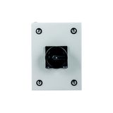 Main switch, T0, 20 A, surface mounting, 1 contact unit(s), 2 pole, STOP function, With black rotary handle and locking ring, Lockable in the 0 (Off)